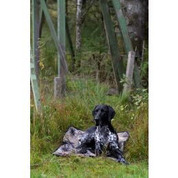 Blaser Hundedecke