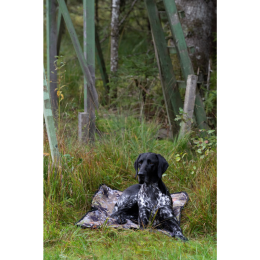 Blaser Hundedecke