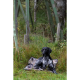 Blaser Hundedecke
