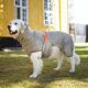 Siccaro Hundebademantel Supreme 2.0 Sand 50
