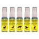 Wildmagnet Wildgeruch Hundeausbildung SCENT4DOGS