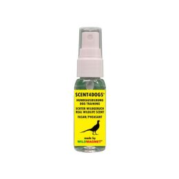 Wildmagnet Wildgeruch Hundeausbildung SCENT4DOGS Fuchs 30ml
