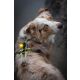 Orbiloc LED-Sicherheitslicht Dog Dual Gelb