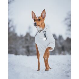 Orbiloc LED-Sicherheitslicht Dog Dual Weiß