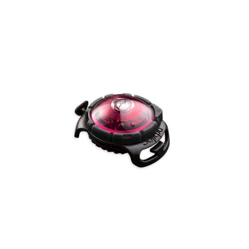 Orbiloc LED-Sicherheitslicht Dog Dual Pink