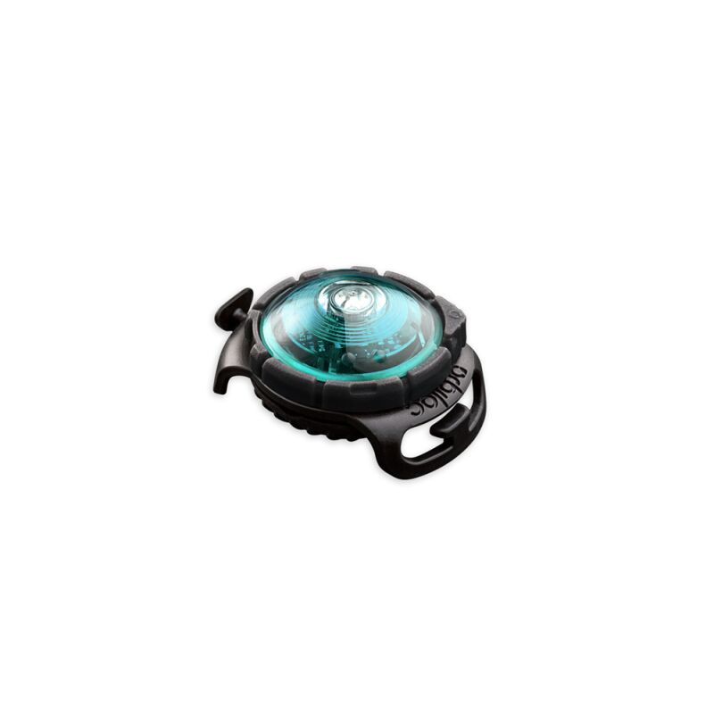 Orbiloc LED-Sicherheitslicht Dog Dual Trkis