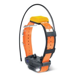 Dogtra Zusatzhalsband für Pathfinder 2