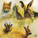 Fritzmann Zelltuch Servietten Wild Animals