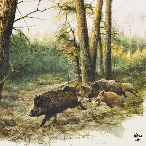 Fritzmann Zelltuch Servietten Wild Boars