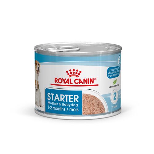 ROYAL CANIN Nassfutter Starter Mousse für tragende Hündinnen und Welpen von der 3. - 8. Woche 12x195 g