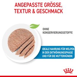 ROYAL CANIN Nassfutter Starter Mousse f&uuml;r tragende H&uuml;ndinnen und Welpen von der 3. - 8. Woche 12x195 g