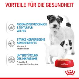 ROYAL CANIN Nassfutter Starter Mousse f&uuml;r tragende H&uuml;ndinnen und Welpen von der 3. - 8. Woche 12x195 g