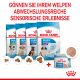 ROYAL CANIN Nassfutter Starter Mousse für tragende Hündinnen und Welpen von der 3. - 8. Woche 12x195 g