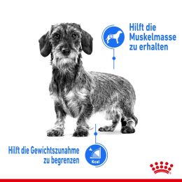 ROYAL CANIN Nassfutter Light Weight Care f&uuml;r Hunde mit Neigung zu &Uuml;bergewicht 12x85 g