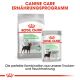 ROYAL CANIN Nassfutter Digestive Care für empfindliche Verdauung 12x85 g