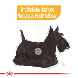 ROYAL CANIN Nassfutter Dermacomfort f&uuml;r empfindliche Haut 12x85 g