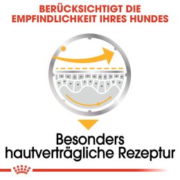 ROYAL CANIN Nassfutter Dermacomfort fr empfindliche Haut 12x85 g