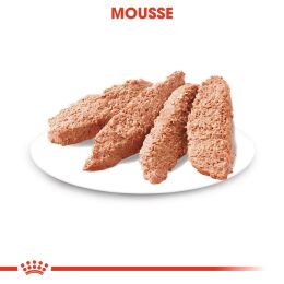 ROYAL CANIN Nassfutter Dermacomfort fr empfindliche Haut 12x85 g