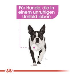 ROYAL CANIN Nassfutter Relax Care f&uuml;r Hunde in unruhigem Umfeld 12x85 g