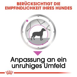 ROYAL CANIN Nassfutter Relax Care f&uuml;r Hunde in unruhigem Umfeld 12x85 g