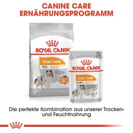 ROYAL CANIN Nassfutter Coat Care f&uuml;r gl&auml;nzendes Fell 12x85 g