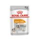 ROYAL CANIN Nassfutter Coat Care für glänzendes Fell 12x85 g