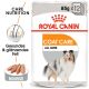 ROYAL CANIN Nassfutter Coat Care für glänzendes Fell 12x85 g