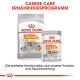 ROYAL CANIN Nassfutter Coat Care für glänzendes Fell 12x85 g