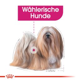 ROYAL CANIN Nassfutter Exigent f&uuml;r w&auml;hlerische Hunde 12x85 g