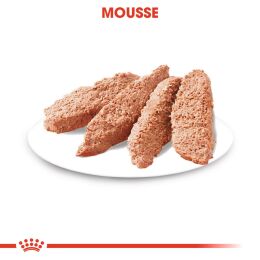 ROYAL CANIN Nassfutter Exigent f&uuml;r w&auml;hlerische Hunde 12x85 g