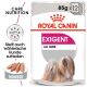 ROYAL CANIN Nassfutter Exigent für wählerische Hunde 12x85 g