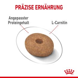 ROYAL CANIN Trockenfutter Light Weight Care Mini f&uuml;r zu &Uuml;bergewicht neigenden Hunden