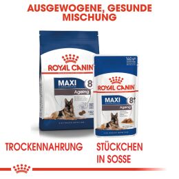 ROYAL CANIN Ältere Große Hunde Nassfutter Maxi Ageing 8+ 10x140 g