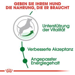 ROYAL CANIN ltere Kleine Hunde Trockenfutter Mini Adult 8+