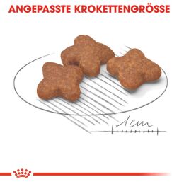 ROYAL CANIN ltere Kleine Hunde Trockenfutter Mini Adult 8+