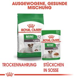 ROYAL CANIN &Auml;ltere Kleine Hunde Trockenfutter Mini Ageing 12+ 3,5 Kg