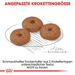 ROYAL CANIN &Auml;ltere Kleine Hunde Trockenfutter Mini Ageing 12+ 3,5 Kg