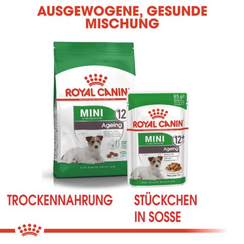 biothane zugstopp halsband Biothane Halsband Zugstop Skyan  Pfoten Chic