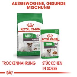 ROYAL CANIN &Auml;ltere Kleine Hunde Nassfutter Mini Ageing 12+ 12x85 g