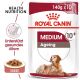 ROYAL CANIN Ältere Mittelgroße Hunde Nassfutter Medium Ageing 10+ 10x140 g