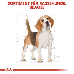 ROYAL CANIN Beagle Trockenfutter Adult 12 Kg