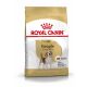 ROYAL CANIN Beagle Trockenfutter Adult 12 Kg