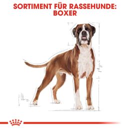 ROYAL CANIN Boxer Trockenfutter Adult 12 Kg