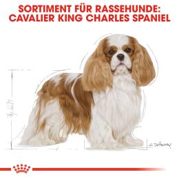 ROYAL CANIN Cavalier King Charles Trockenfutter Adult 7,5 Kg