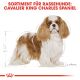 ROYAL CANIN Cavalier King Charles Trockenfutter Adult 7,5 Kg