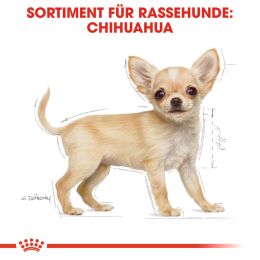 ROYAL CANIN Chihuahua Trockenfutter Welpen 1,5 Kg