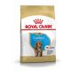 ROYAL CANIN Cocker Trockenfutter Welpen 3 Kg