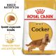 ROYAL CANIN Cocker Trockenfutter Adult 12 Kg