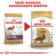 ROYAL CANIN Cocker Trockenfutter Adult 12 Kg