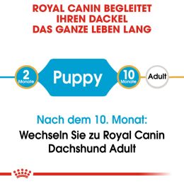 ROYAL CANIN Dackel Trockenfutter Welpen 1,5 Kg